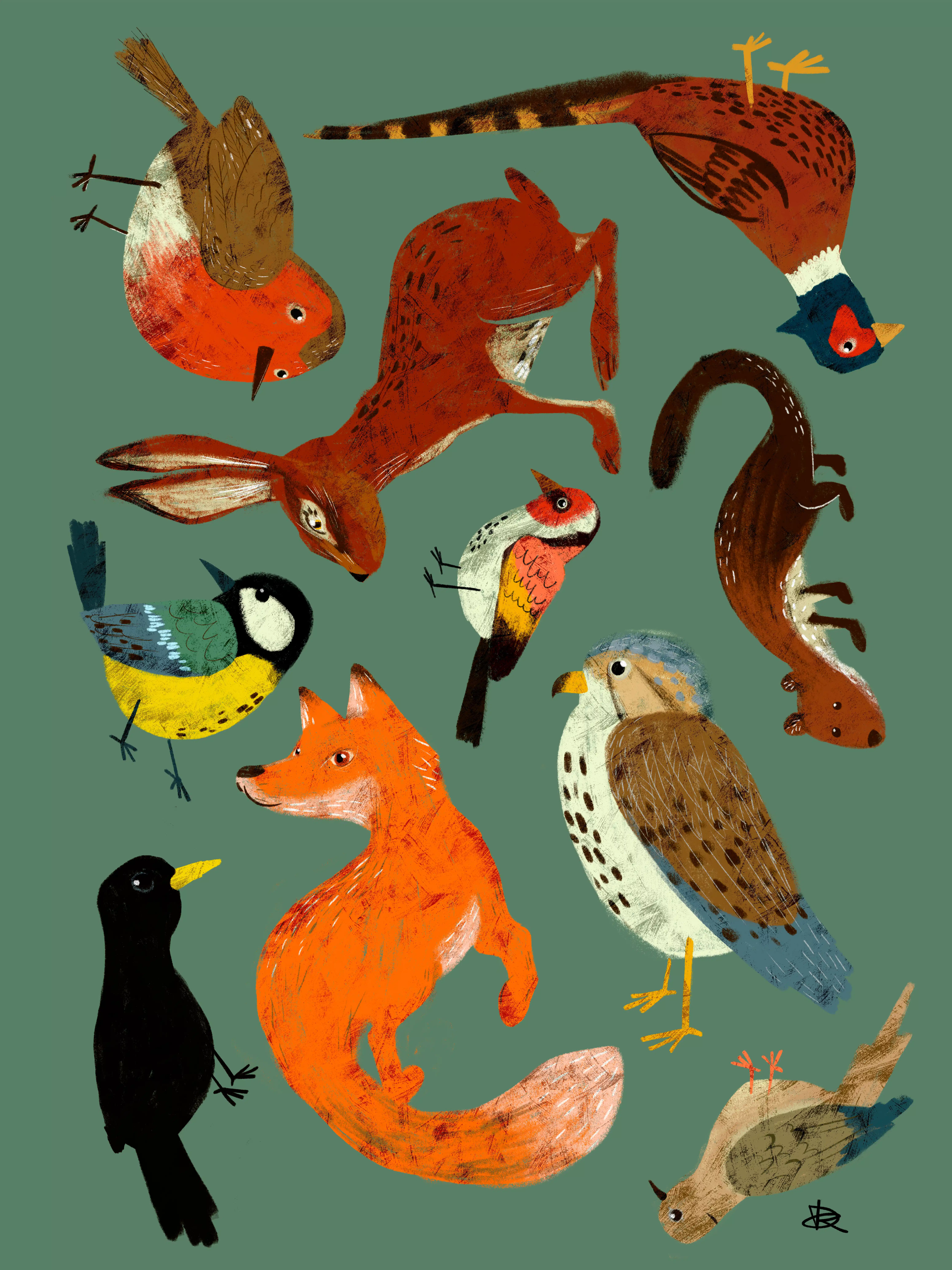 Northern Italy Animals